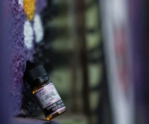 美國 RIPE VAPES煙油 生命之樹小煙油 30ML電子煙油 經典口味 深受喜愛