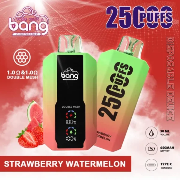 Bang 25000 Puffs 超大屏幕 超大容量可充電拋棄式電子煙