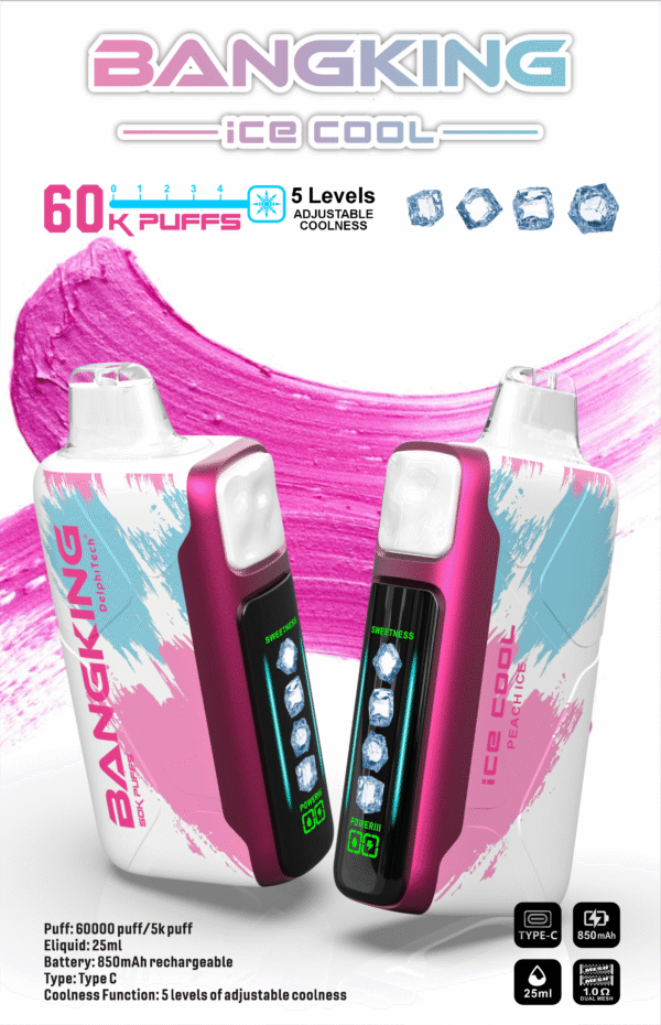 BANGKING 6OK PUFFS DSKO48 口味 Bang King Ice Cool 60K DSK048 一次性電子煙 台灣現貨 – 60000口超大容量5級可調清涼可充電一次性電子煙推薦 派對解癮神器
