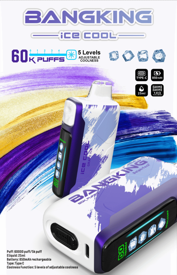 BANGKING 6OK PUFFS DSKO48 台灣推薦 Bang King Ice Cool 60K DSK048 一次性電子煙 台灣現貨 – 60000口超大容量5級可調清涼可充電一次性電子煙推薦 派對解癮神器