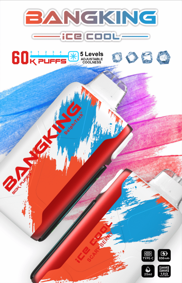 BANGKING 6OK PUFFS DSKO48 拋棄式台灣 Bang King Ice Cool 60K DSK048 一次性電子煙 台灣現貨 – 60000口超大容量5級可調清涼可充電一次性電子煙推薦 派對解癮神器