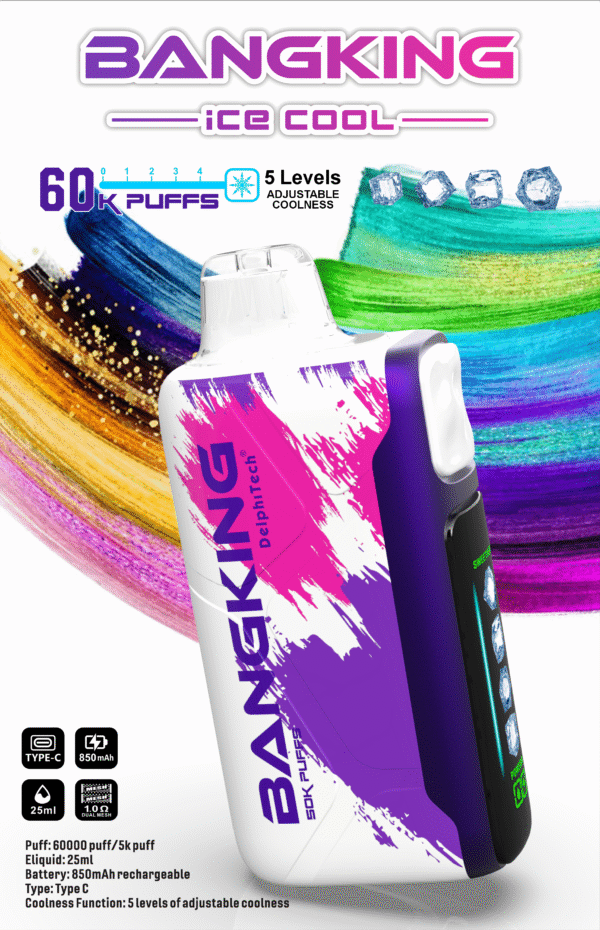 BANGKING 6OK PUFFS DSKO48 電子煙產品圖 Bang King Ice Cool 60K DSK048 一次性電子煙 台灣現貨 – 60000口超大容量5級可調清涼可充電一次性電子煙推薦 派對解癮神器