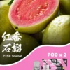 SP2S MACHINE X 煙彈菸彈 超值活動; 五盒送主機 SP2S MACHINE X 煙彈|原裝正品替換彈 台灣現貨供應