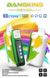 電子煙 電子煙