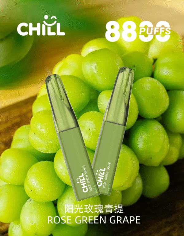 CHILL鴨嘴獸式拋棄式8800口 大容量電子煙台灣推薦